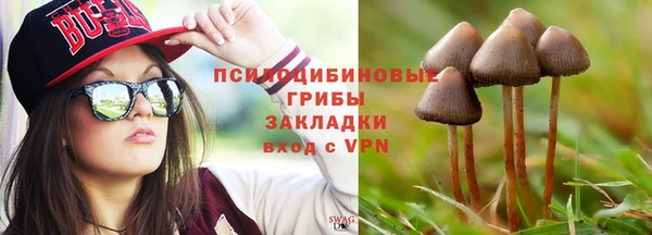 не бодяженный Абаза