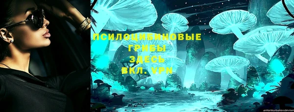 PSILOCYBIN Абинск