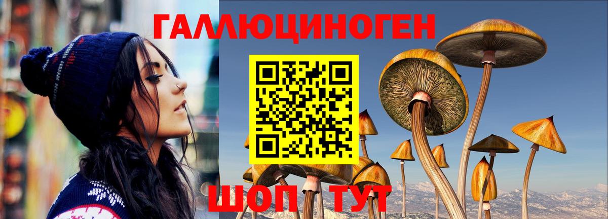 Галлюциногенные грибы Magic Shrooms  Псилоцибиновые грибы ЛСД  Серпухов 