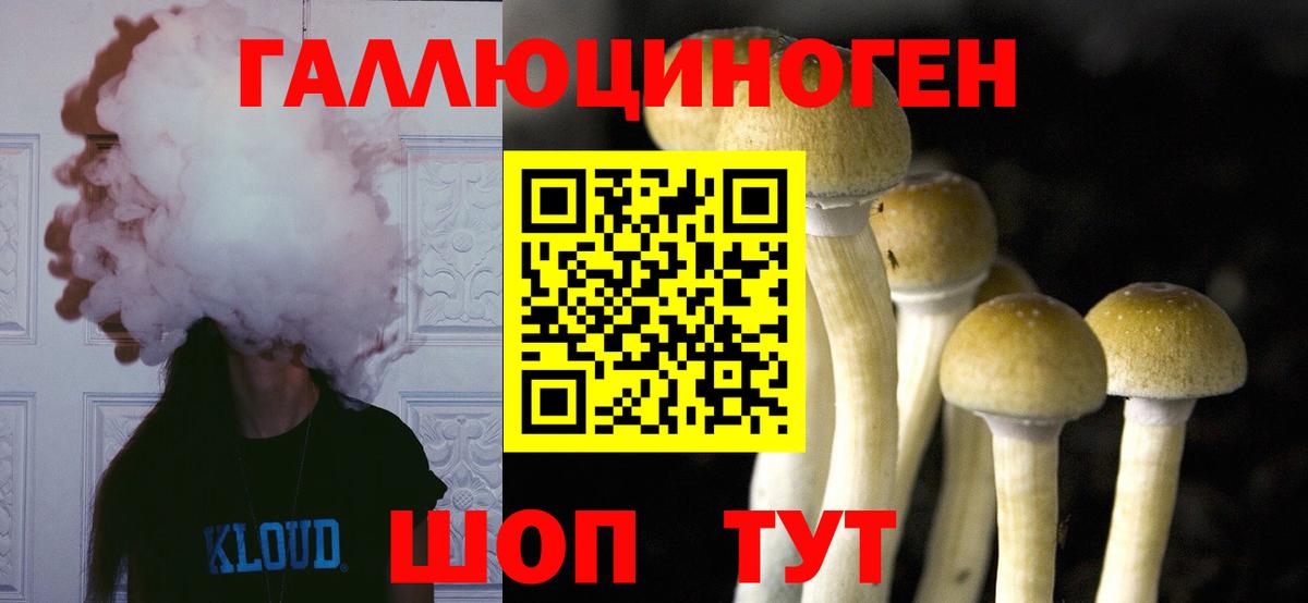 Галлюциногенные грибы мицелий  Галлюциногенные грибы Cubensis  Вход с VPN  Серпухов 